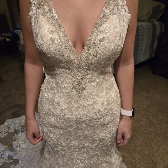Elegant Beaded Lace Wedding Dress - Picture 4 of 11